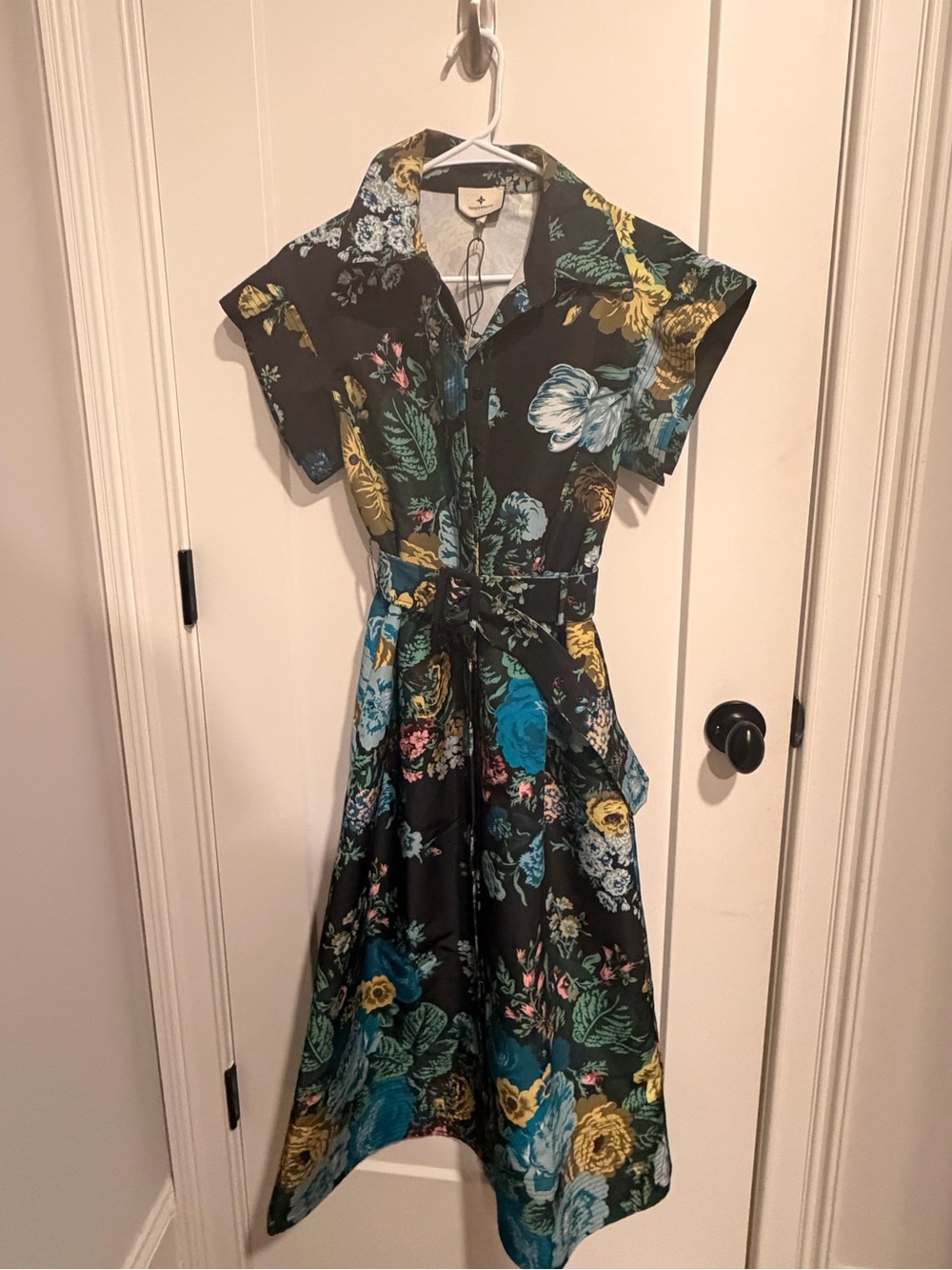 Tuckernuck Floral Button-Front Fit & Flare Dress - Black (NWT)